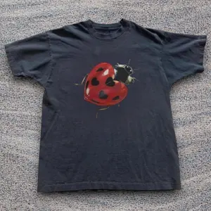 Cute Ladybug Heart Graphic T-Shirt – Vintage Insect Love Tee, Aesthetic Nature Shirt, Casual Unisex Streetwear, uniex tee, gift, crewneck