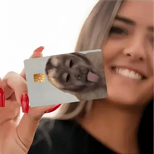 2 Cute and Funny Monkey Sticking Out Tongues Design Pattern Credit Card Skin Cover Waterproof Stickers, Ultra-thin, High-quality, Scratch-resistant. Suitable for Credit Cards, Bank Cards, Transit Cards. Removable Self-adhesive for Most Cards.