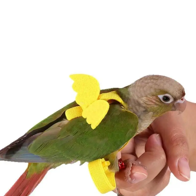 Small Animal Bird Leash and Harness Set - Angel Wing Design for Sun Conure and Similar Breeds