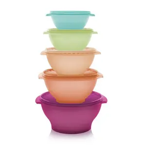 Tupperware Vintage Servalier Bowl Set 5-Piece Stackable Storage Bowls with Tight-Sealing Lids 3.5 to 17.25 cups for Kitchen Organization; 3½-c, 5¼-c, 8-c, 11¾-cup, 17¼-cup