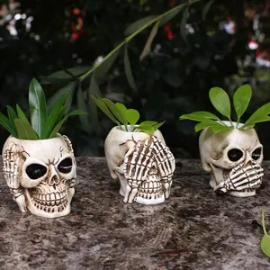 Skull Design Succulent Pot, 3 Counts/set Creative Skull Design Succulent Planter, Decorative Plant Pot for Home Garden, Garden Decor