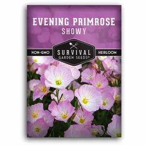 Showy Evening Primrose Seed - Grow Pink Ladies