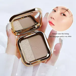 High Gloss Integrated Grooming Disc Dual Color Shadow Nose & Side Matte Brightening Three Dimensional Makeup Cosmetic Tool