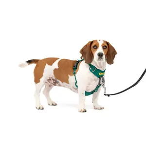 PetSafe Comfort No Pull Adjustable Dog Harness - S - Green