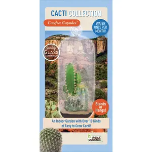 Cacti Collection Glass Terrarium Seed Starting Kit