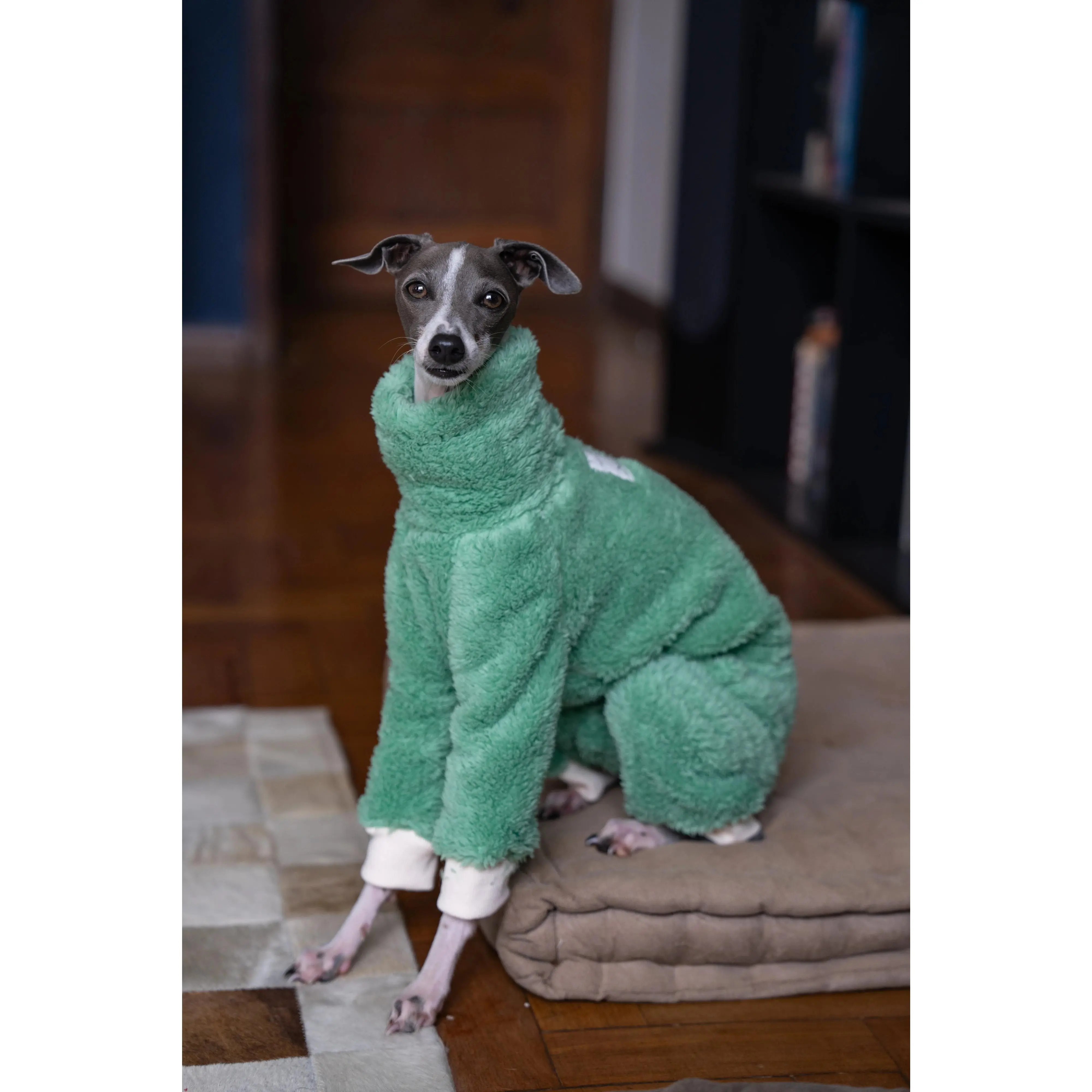 Warm Green Christmas Coat for Italian Greyhounds