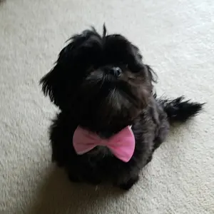 Phone Cleaning Kit, Smartphone Cleaning Tool, Phone Cleaning Brush, Phone Dust Removal Tool, Mobile Phone Accessories for Electronic Products, Camera Cleaning Tools, Camera Cleaner, Electronic Gadgets