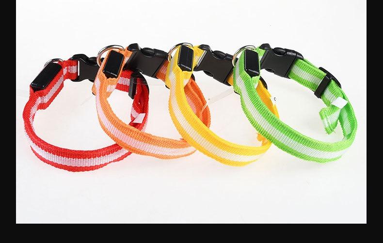 Collar (Glow) - Dog Collar Nylon LED Night Safety Flashing Glow In The Dark Pet Dog Leash pet Dogs Luminous Fluorescent  dog accessories collar night safety Rechargeable reflective cat
