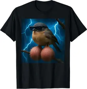 Bird Meme with Balls Funny T-Shirt