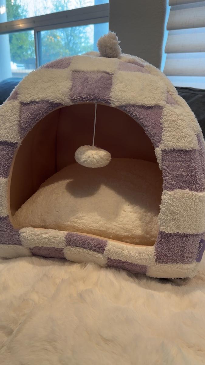 Item: Purple, L (17.3x17.3x17.3)