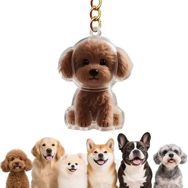 Veliora Gift B Pet Hair Keychain for Women Men Dog Fur Memorial Keepsake Bag Charm Clear Puppy Purse Wallet Accessory Gift