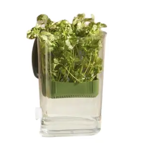 Recipiente para guardar hierbas