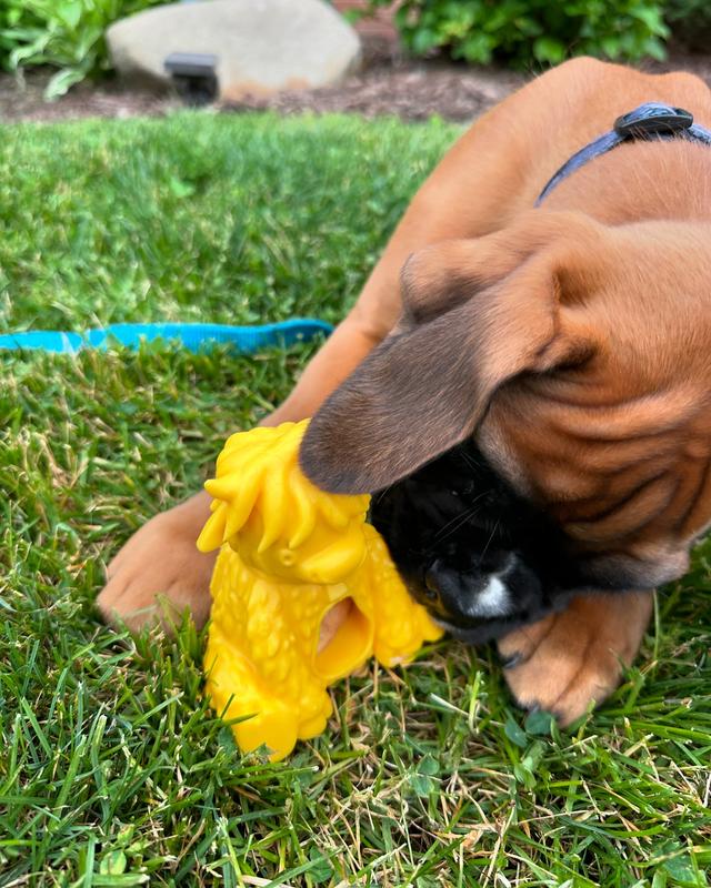 Yak Puff and Play Dog Toy Interactive Enrichment Treat Dispensing Dog Toy