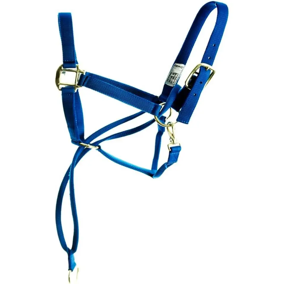 Pull Back Training Halter for Horses, Heavy-Duty 3-Ply Nylon with Anti-Pull Strap, Adjustable Crown and Throat Snap