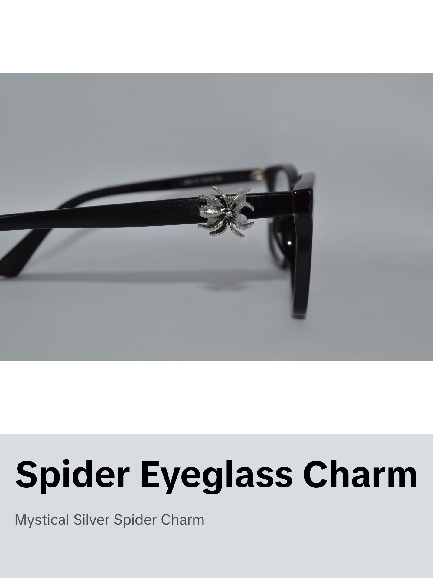 Silver Spider Eyedeco Charm