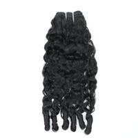 [Upgrade] Burmese Curly