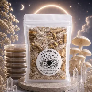 Celestial Base - Agar Pre Mix for Wood Loving Species