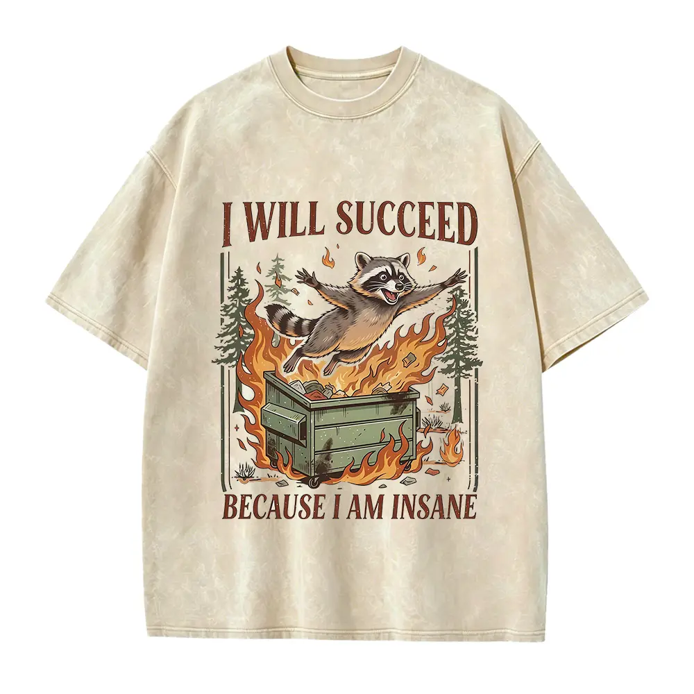 I Will Succeed Because I Am Insane Shirt, Funny Raccoon Tee, Chaotic Motivation Shirt, Trash Panda Meme Shirt, Vintage Graphic Tee