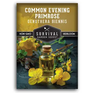 Common Evening Primrose Seeds - Native Wildflower