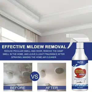 Removal Spray Mold Remover Bathroom Tile Wallsceilings Mildew Stain Cleaning Household Outdoors