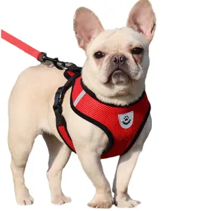 Pet Harness & Leash Set, 1 Set Breathable Adjustable Harness with Reflective Strips, Pet Chest Strap & Leash, Outdoor Walking Supplies for Small & Medium Dogs & Cats