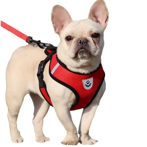 Pet Harness & No-Tangle Leash Set, Puppy Harness and Leash, Breathable Adjustable Harness with Reflective Strips, Outdoor Walking Supplies for Small/Medium Dogs & Cats