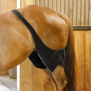 Schneiders ThermaCool Hot and Cold Therapy Stifle Wraps for Horses
