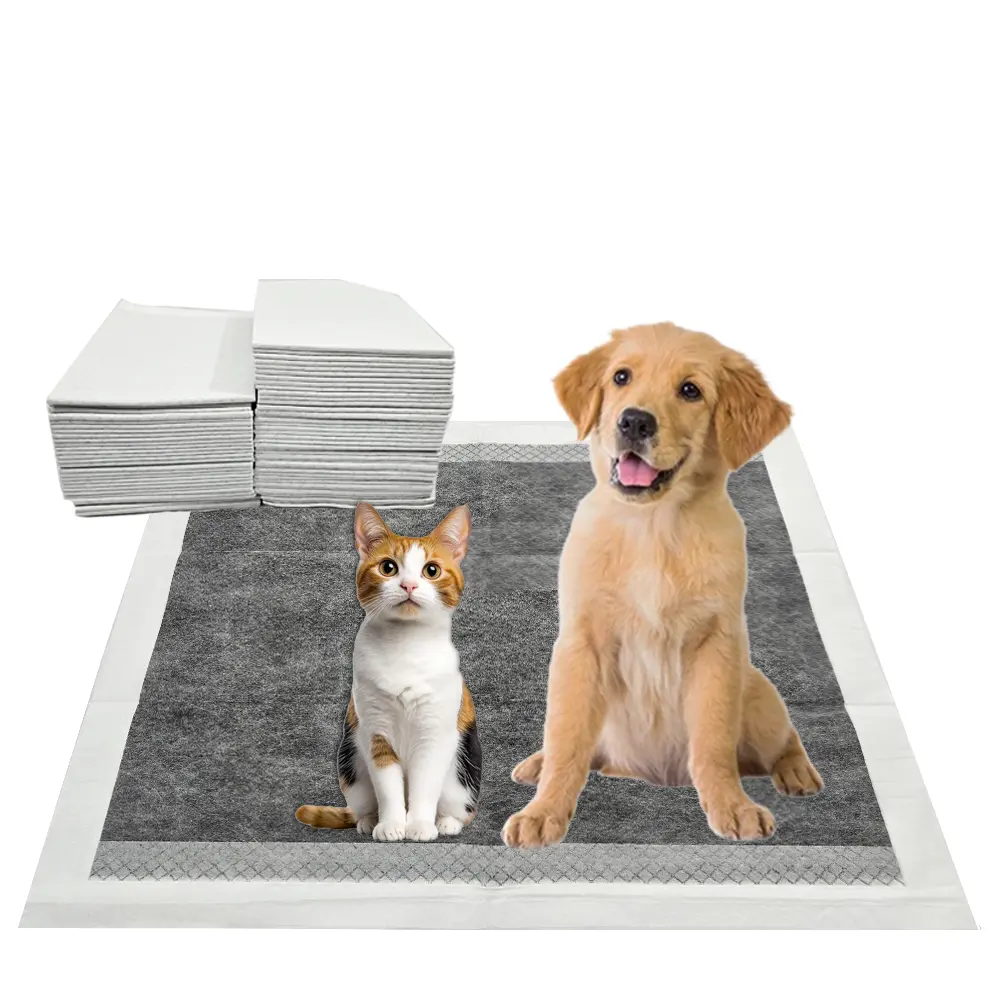Puppy Pee Pads, Charcoal 100 Count - 22 x 22 Inch Leak-Proof Pet Training Pads for Dogs, Quick Absorb 6-Layer Design, Ideal for Puppies, Cats, Rabbits, and Guinea Pigs