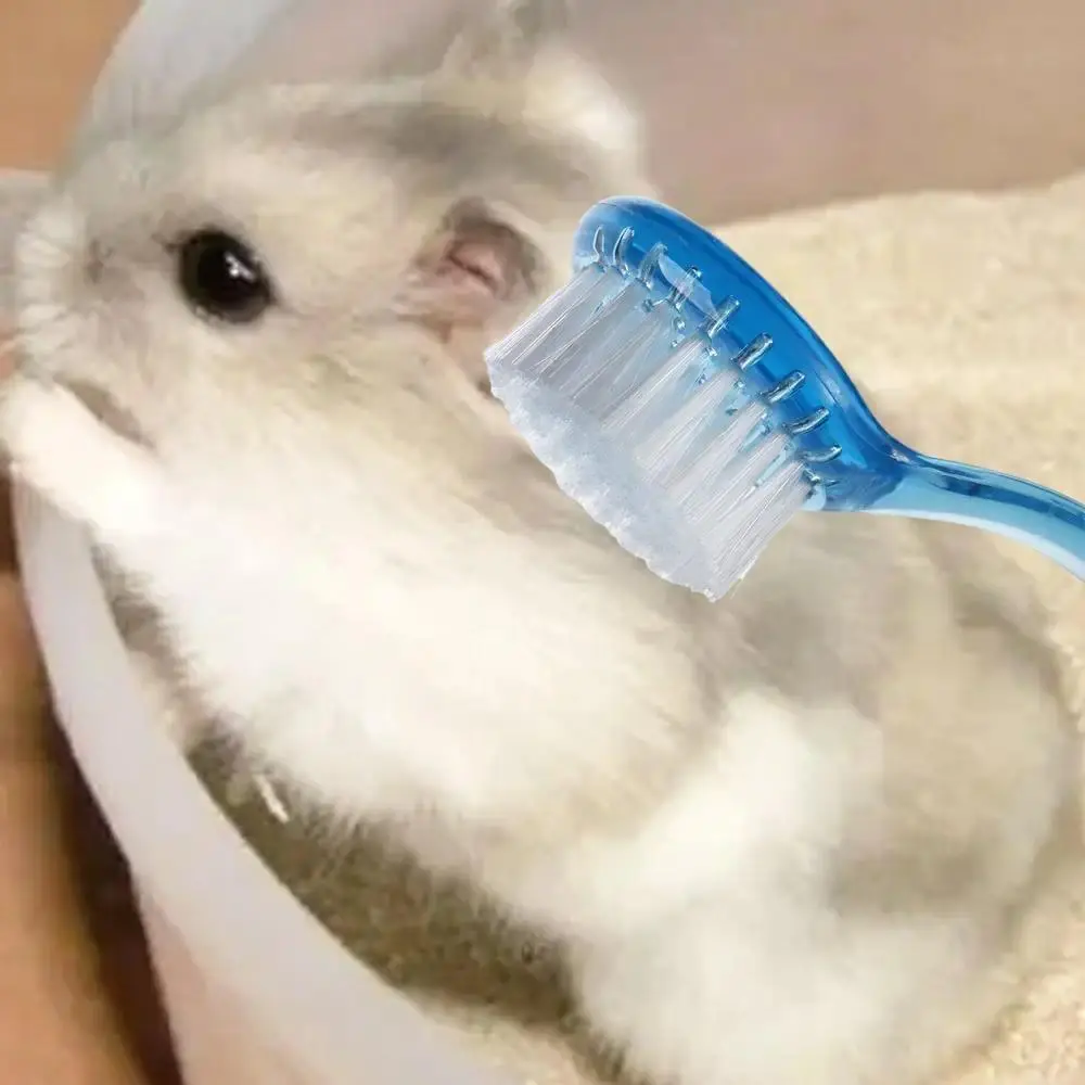 Lightweight Animal Grooming Brush, Soft Cleaning & Massage Comb for Small Pets (Guinea Pig, Hedgehog, Hamster) - 1pc Bathing Grooming Tool, Transparent