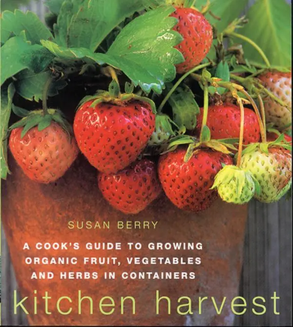 USED Book - Kitchen Harvest by Berry, Susan (Paperback) - english