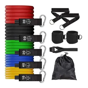 11-Piece Resistance Band Set with Handles, Fitness Bands, Home Workout Equipment, Includes 5 Physical Therapy Levels, Ideal for Yoga and Pilates, Comes with Door Anchor and Storage Bag