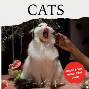 USED-Cats: Photo Book With Large Print (Large Print Photo Books) by Bobair (Paperback)