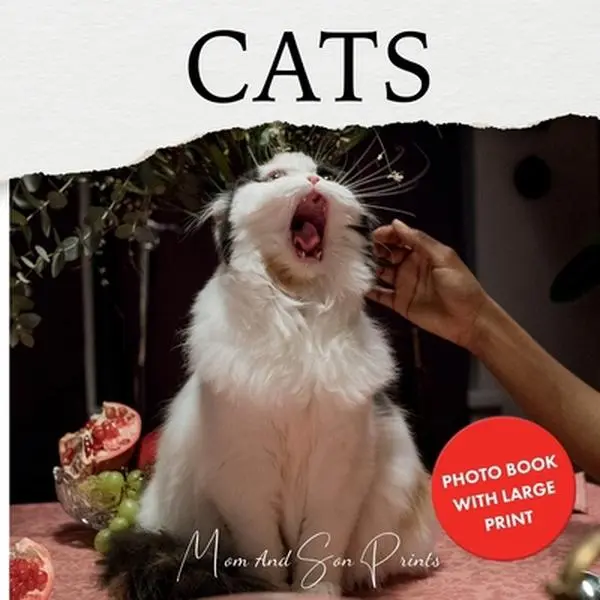 USED-Cats: Photo Book With Large Print (Large Print Photo Books) by Bobair (Paperback)