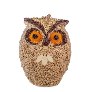 Whoo-lio Owl
