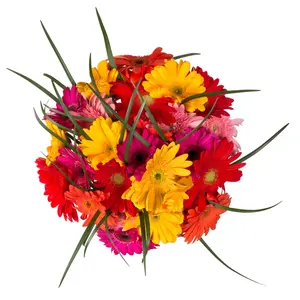 Rainbow Gerbera Bouquet