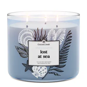 Lost at Sea 3-Wick Deodorant Candle, Highly Scented Odor-Eliminating Household Home Decor Candle, Highly Scented Candles