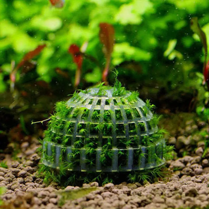2pcs Live Plant Aquarium Decor - Moss Ball Filter for Healthy Fish and Aquatic Plants Fish Tank