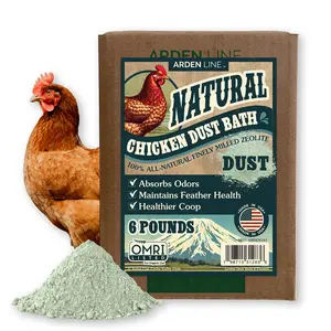 Chicken Dust Bath