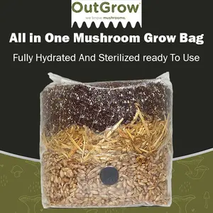 All in One Mushroom Grow Bag - Manure Based