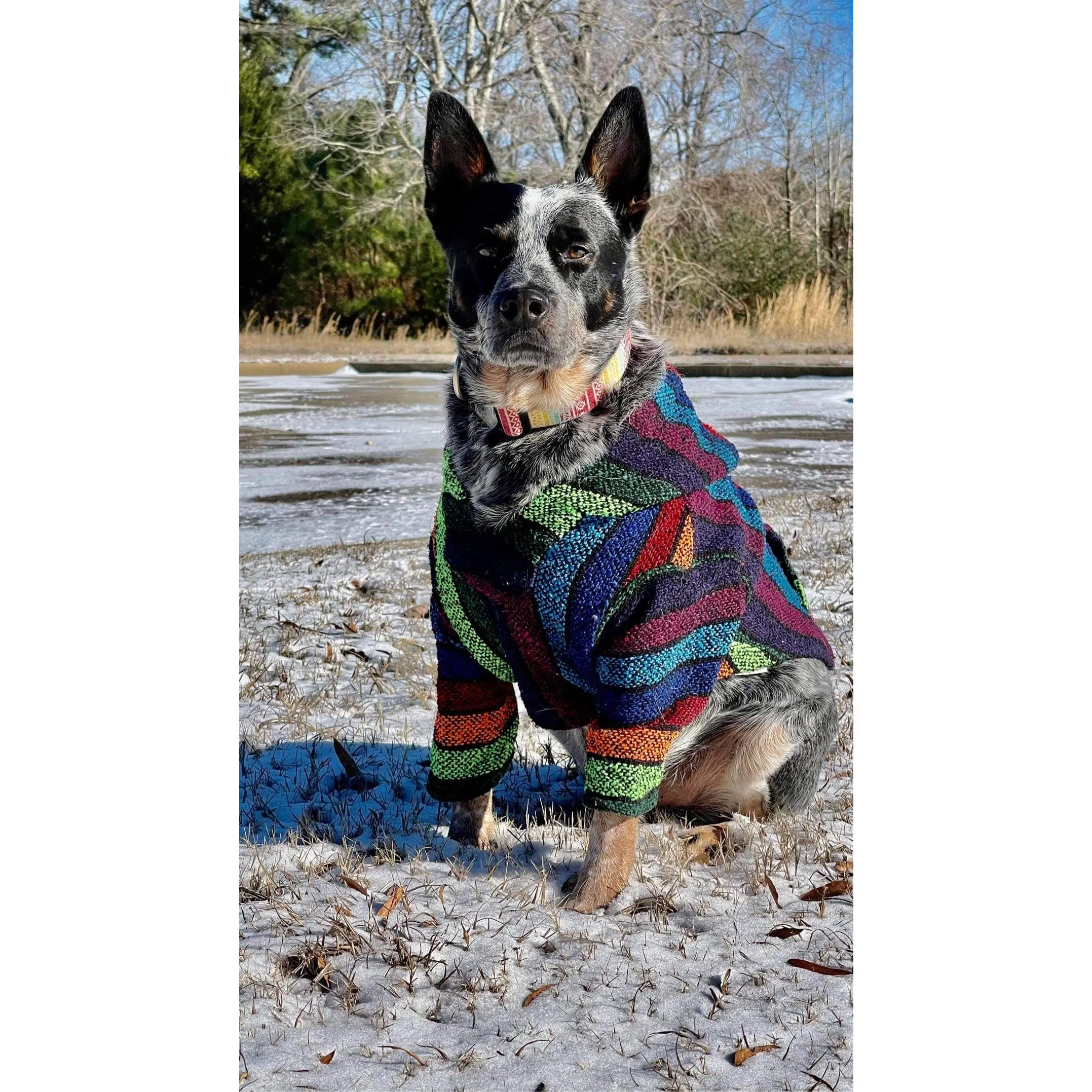 XXXL DOG PONCHO  75-125 pounds