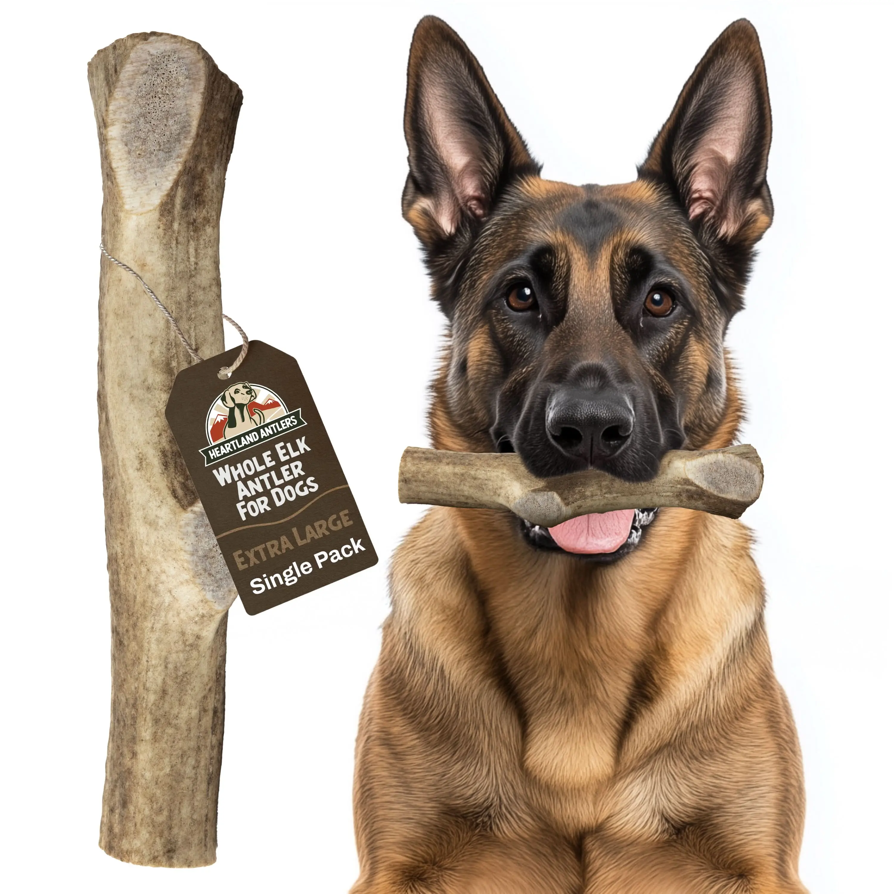 Heartland Antlers Extra Large Whole Elk Antler Dog Chew | 8" Long | 7-9 oz | For Dogs 65-85 lbs | Natural & Durable