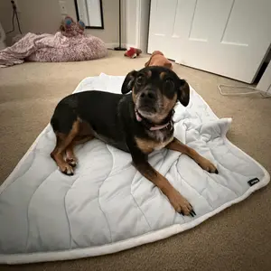 Bedsure Cooling Dog Thin Mat - Breathable & Stay Cool, Non-Slip & Easy to Clean