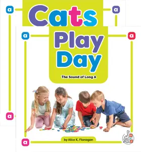 Phonics Fun! - 33 Book Set -Beginning Reader Comprehension Bundle