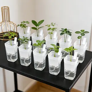 Mini transparent automatic watering flowerpot, irregular shape, with water level indicator and drainage hole, PP plastic, used for succulents, air plants