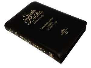 Large Print Bible, 12-point Concordance, RVR1960, manual, with black padded cover and index. (Spanish Edition)