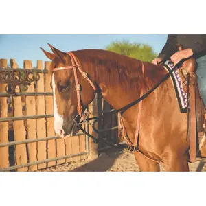 Professional's Choice Al Dunning Draw Rope Martingale - Adjustable Horse Training Aid for Head Position and Flexion