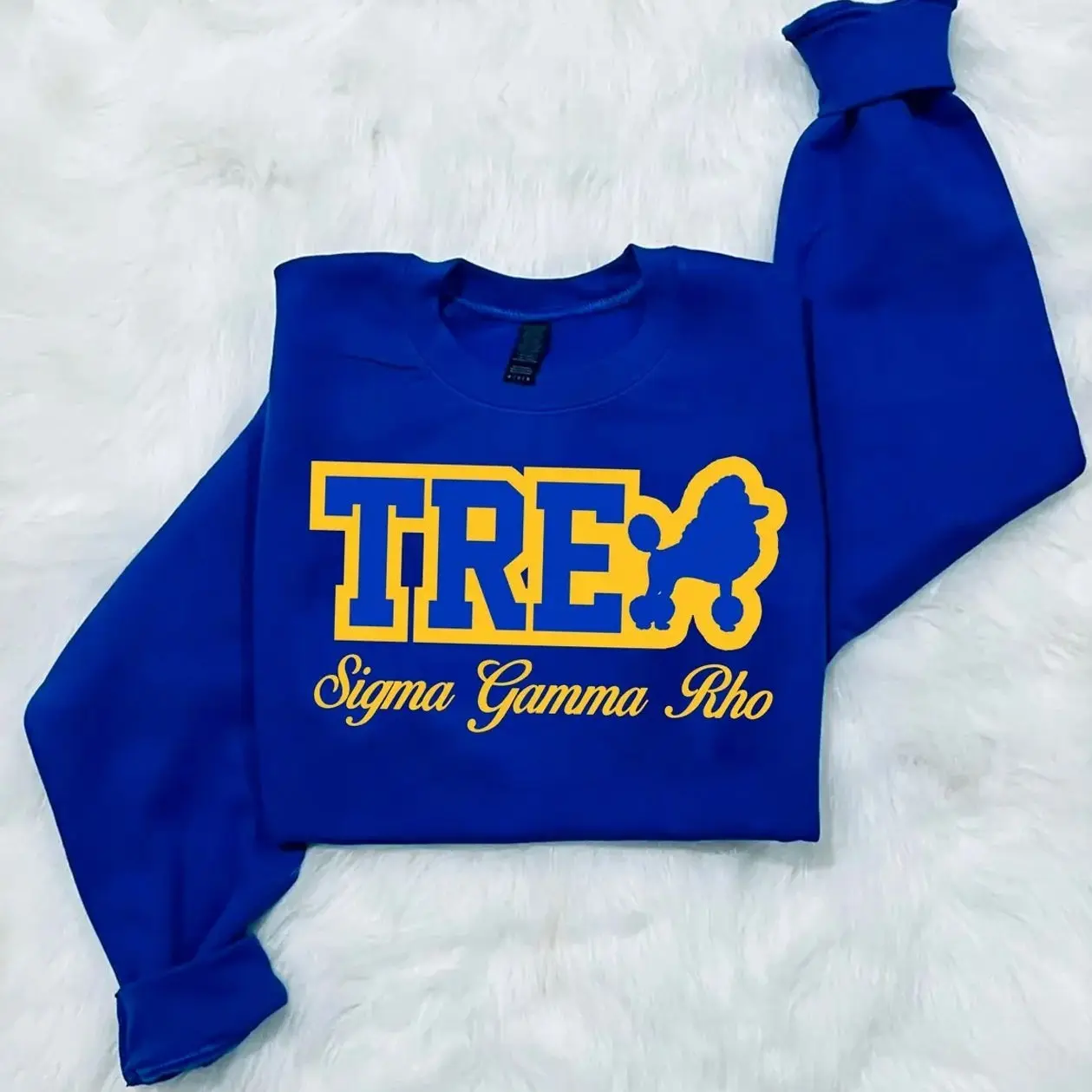 Sigma Gamma Rho Sweatshirt. Sigma Gamma Rho 1922 Sweatshirt. Sigma 1922 Sweatshirt. SGRhos, Lady Sigmas, Sigma Women, Pretty Poodles.