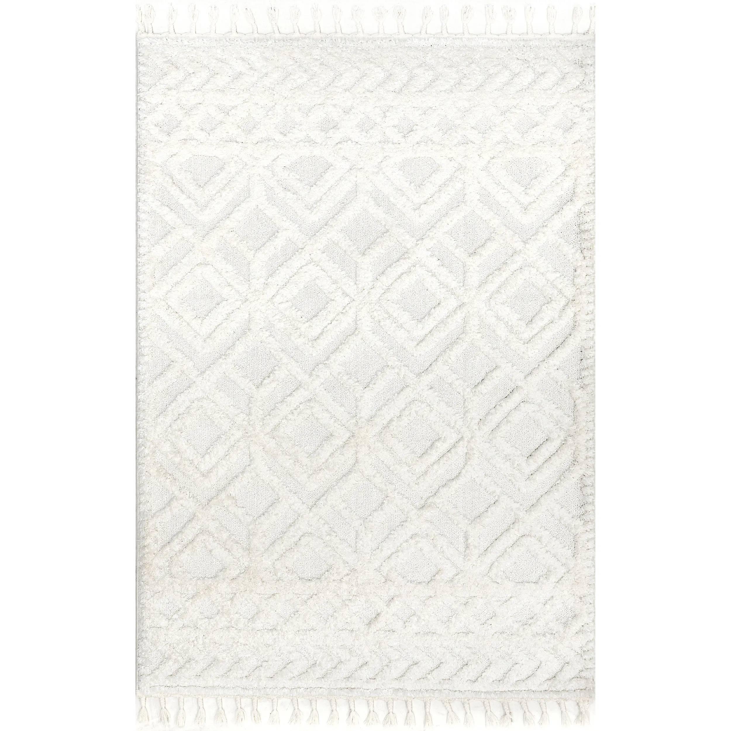 Akia Lattice High/Low Tassel Area Rug