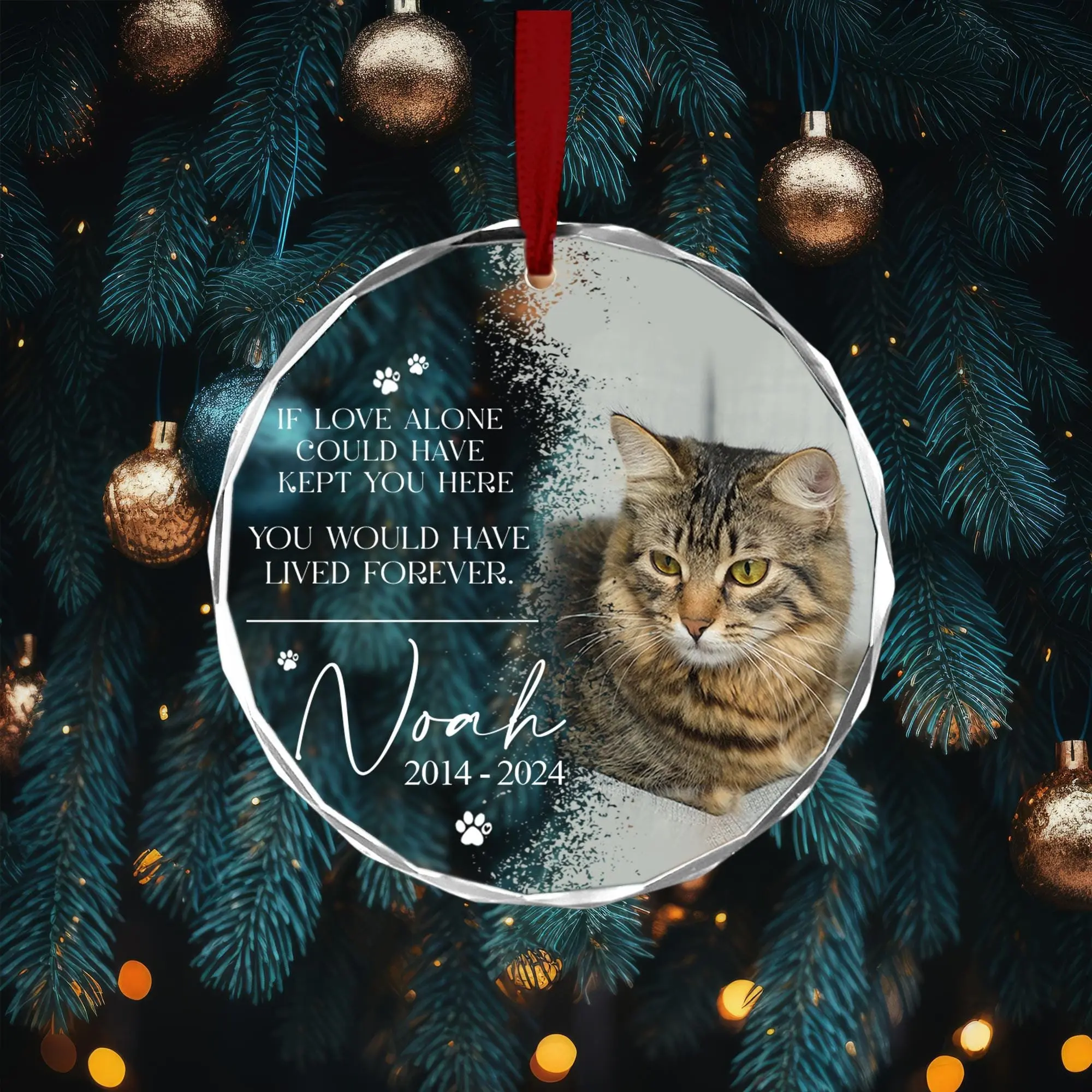 Custom Cat Memorial Gift Pet Loss Gifts For Owner Cat Memorial Ornament Cat Loss Gift Cat Remembrance Photo Memorial Dog Cat Ornament