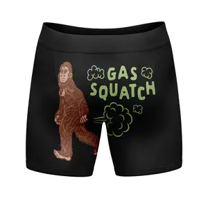 Funnys Boxers for Dad Fathers Day Briefs Graphic Novelty Underwear for Dad Funny Graphic Boxers Dad Joke  Funny Dinosaur  Mens Novelty Boxer Briefs